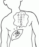 肝臓